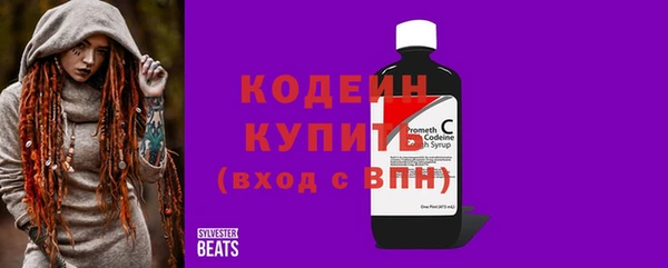 шишки Абаза