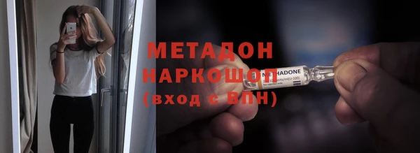 шишки Абаза