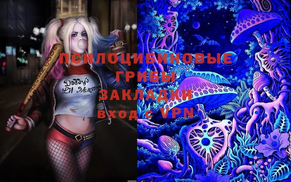 шишки Абаза