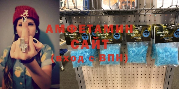 шишки Абаза