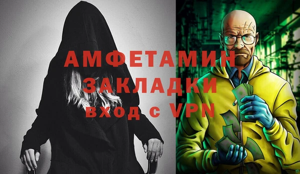 шишки Абаза