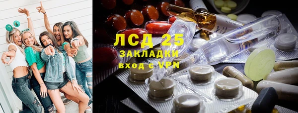 ПСИЛОЦИБИНОВЫЕ ГРИБЫ Приозерск