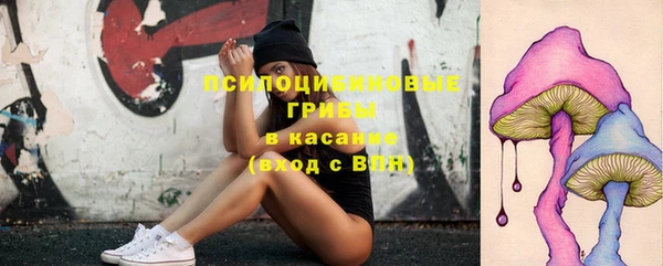 ПСИЛОЦИБИНОВЫЕ ГРИБЫ Приозерск