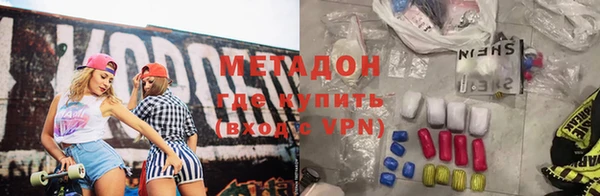 шишки Абаза