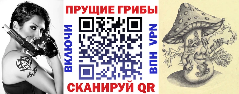 omg маркетплейс  Урус-Мартан  Галлюциногенные грибы мицелий 